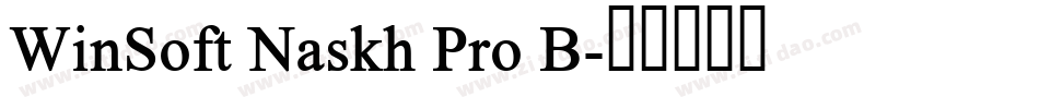 WinSoft Naskh Pro B字体转换